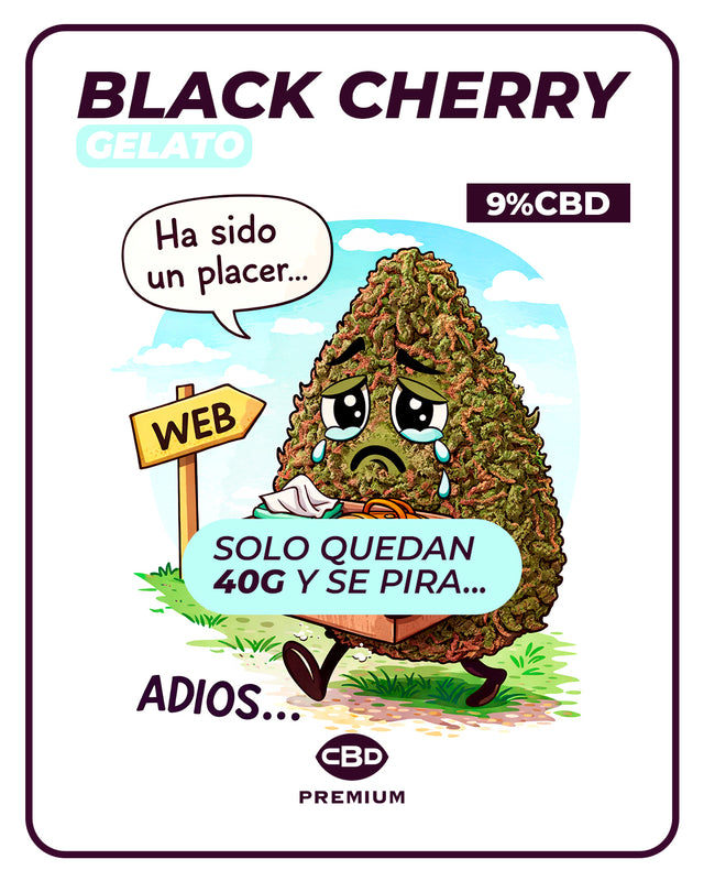 Black Cherry Gelato CBD 🍒🍨