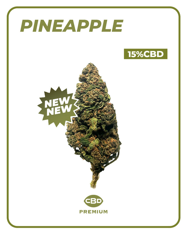 Flor CBD Pineapple 🍍