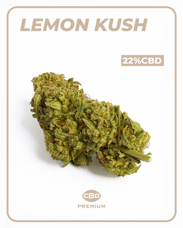Lemon Kush '23