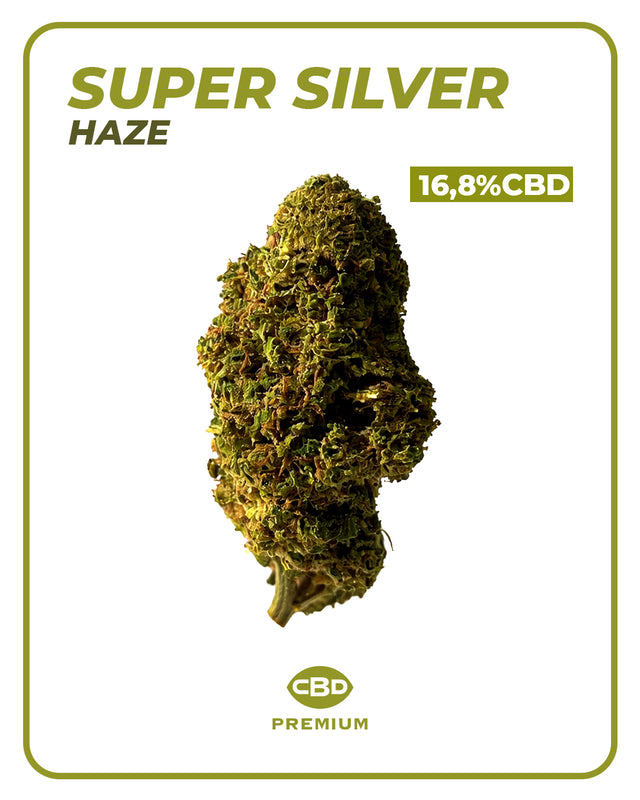 Flor CBD Super Silver Haze 🌲