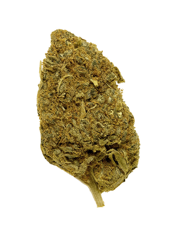 Laughing Buddha πͺ·