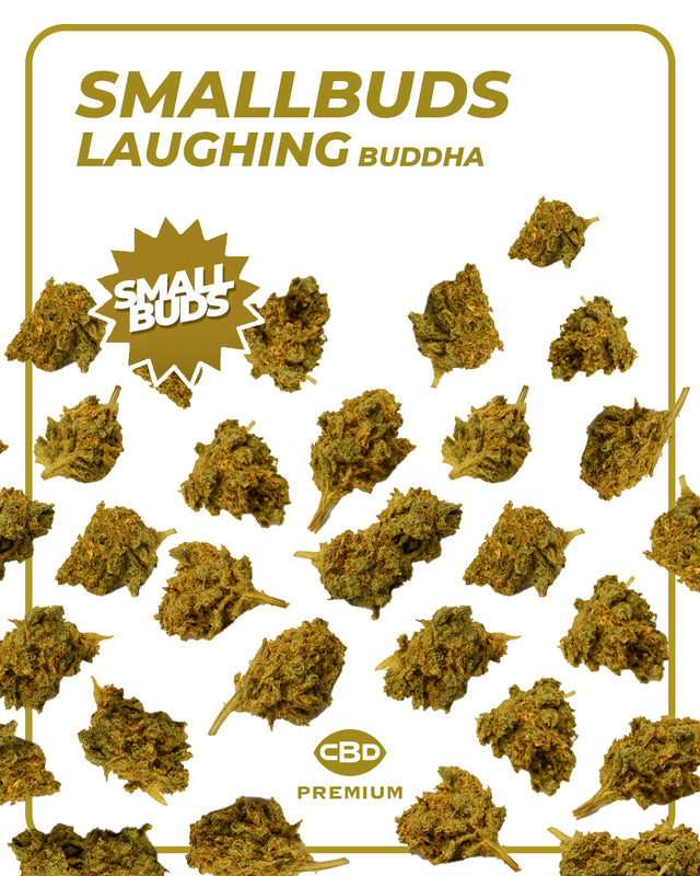 Small BUDS - Laughing Buddha 🪷