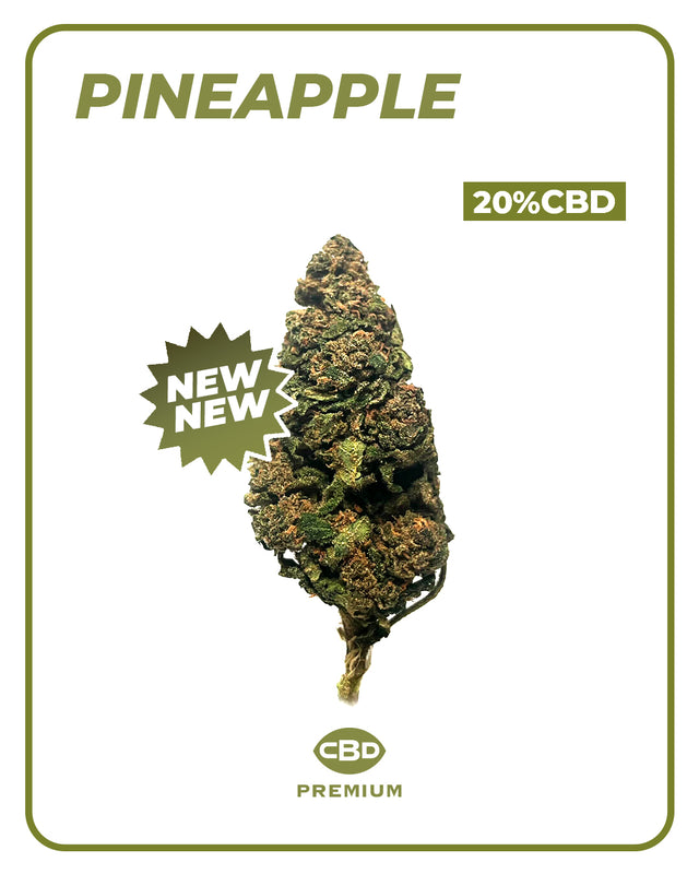 Flor CBD Pineapple π