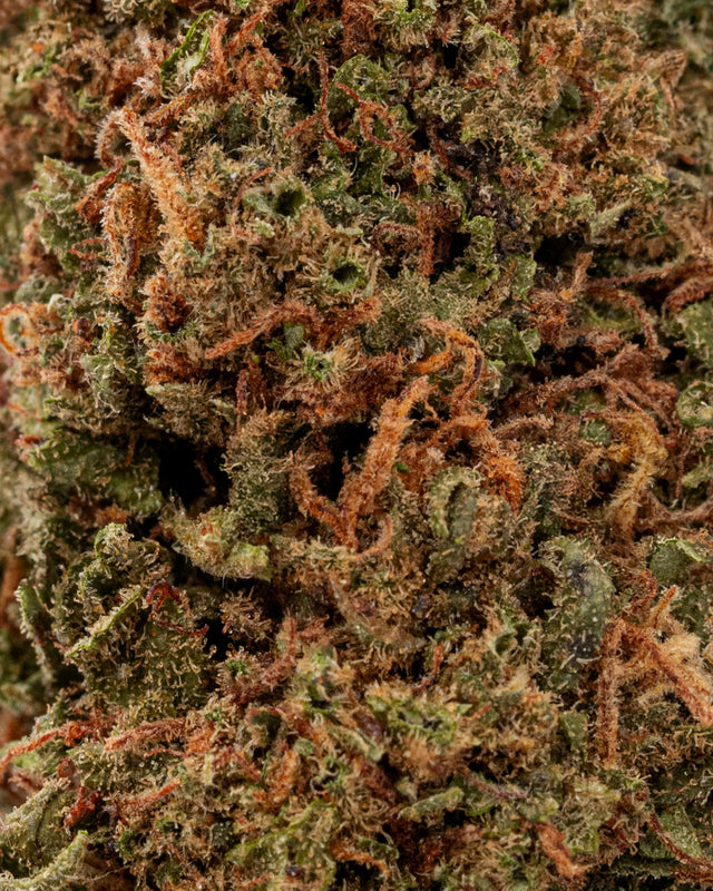 Black Cherry Gelato CBD 🍒🍨