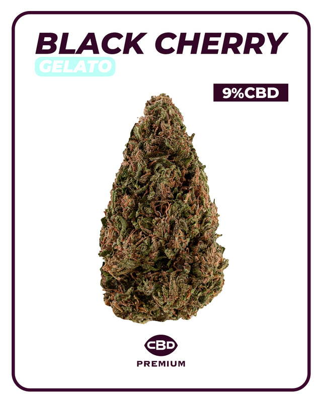 Black Cherry Gelato CBD 🍒🍨
