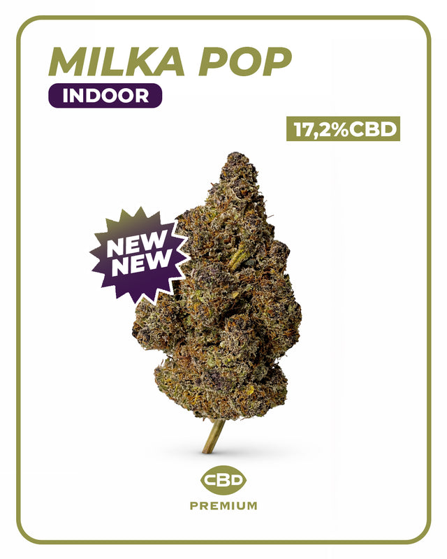 Flor CBD Milka Pop (Interior)