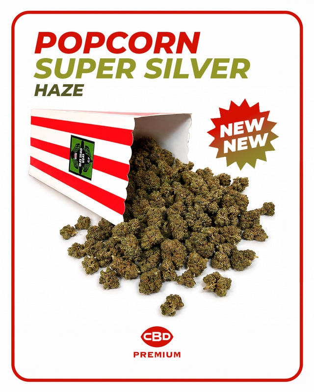 Popcorn Super Silver Haze