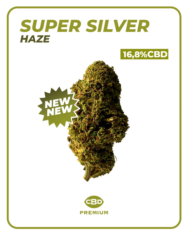 Flor CBD Super Silver Haze 🌲