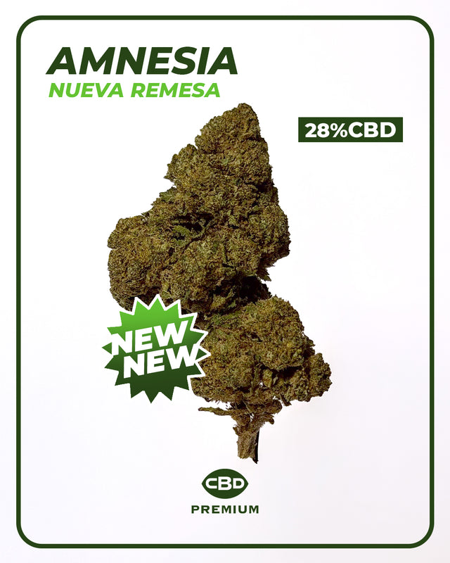 Amnesia 🧠