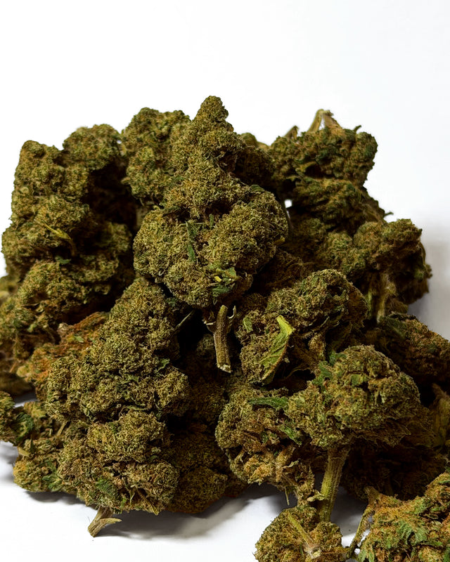 Amnesia 🧠