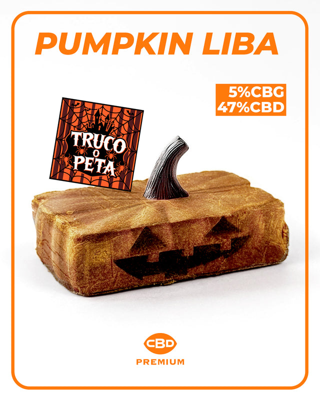 Resina Liba di Zucca 🎃