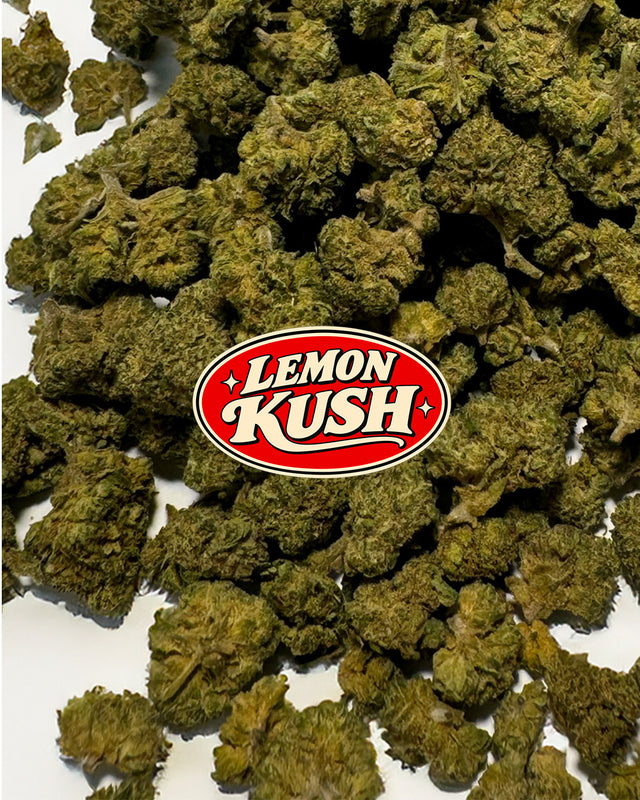 Popcorn Classic AHORRO - Lemon Kush