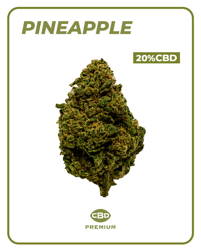Flor CBD Pineapple 🍍